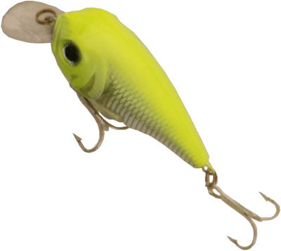 4 Packs Crème Fishing Favorites 4 Packs Crème Fishing Favorites