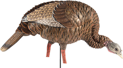 Avian X Hdr Feeding Hen Decoy* -