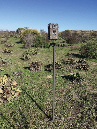 Stealth Cam Trail Cam Mounting - Stick 34" High Steel