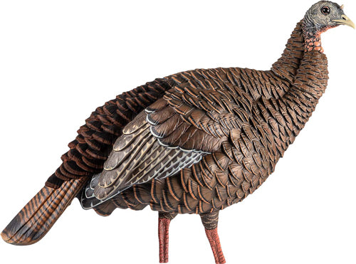 Avian X Hdr Hen Decoy* -
