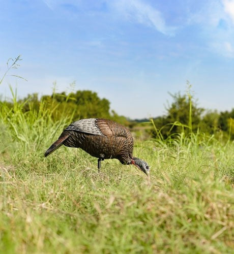 Flextone Thunder Chick Feeding - Hen Decoy W/stake