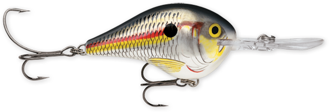 Rapala DT Series 3/8 Shad