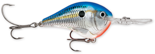 Rapala DT Series 3/5 Blue Shad