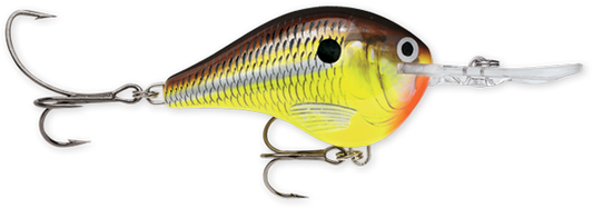 Rapala DT Series 3/5 Hot Mustard