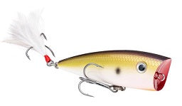 Strike King KVD Splash 2.75" 3/8oz TN Shad 2.0